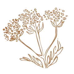 Valerian