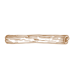 Cinnamon