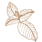 Peppermint