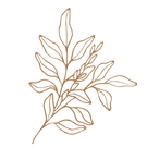 Licorice Root
