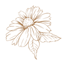 Chamomile